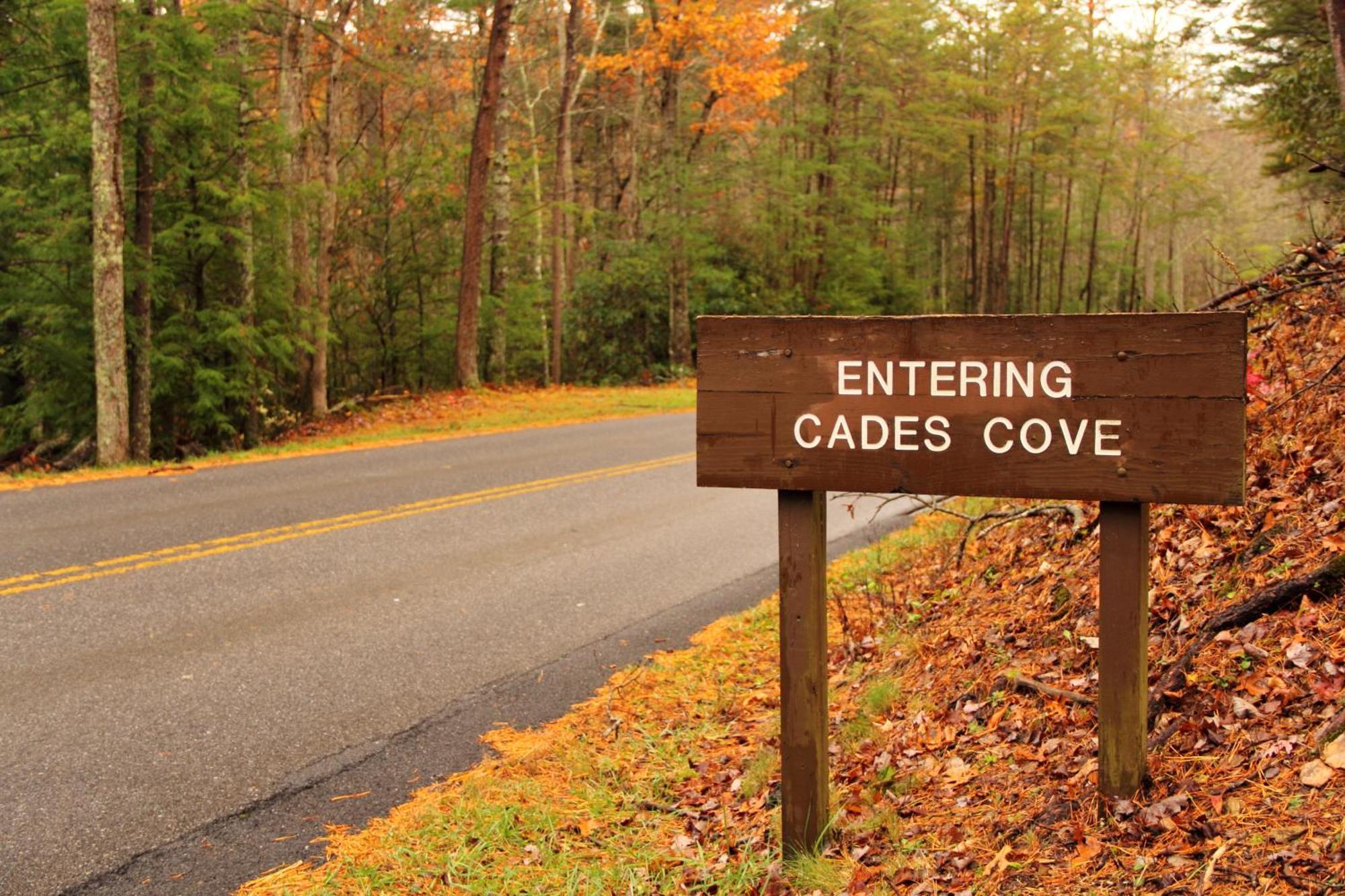 The Cozy Cove, Hot Tub, Wifi, 1089 Free Tickets Each Paid Day, Dollywood And More Севьервилл Экстерьер фото